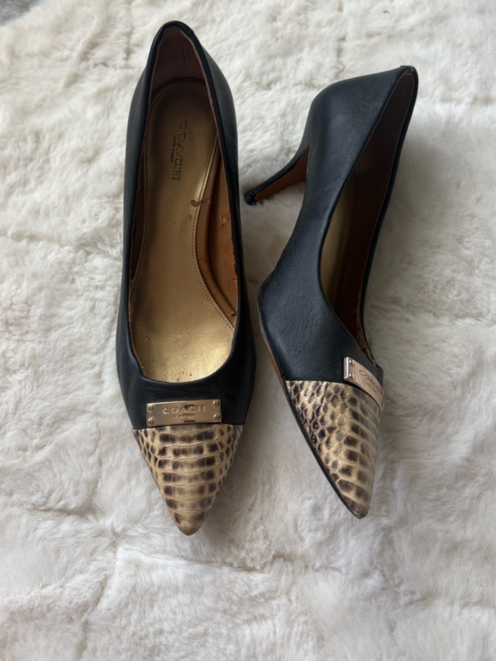 Coach Black Heel Snakeskin Pointed Toe / 8.5